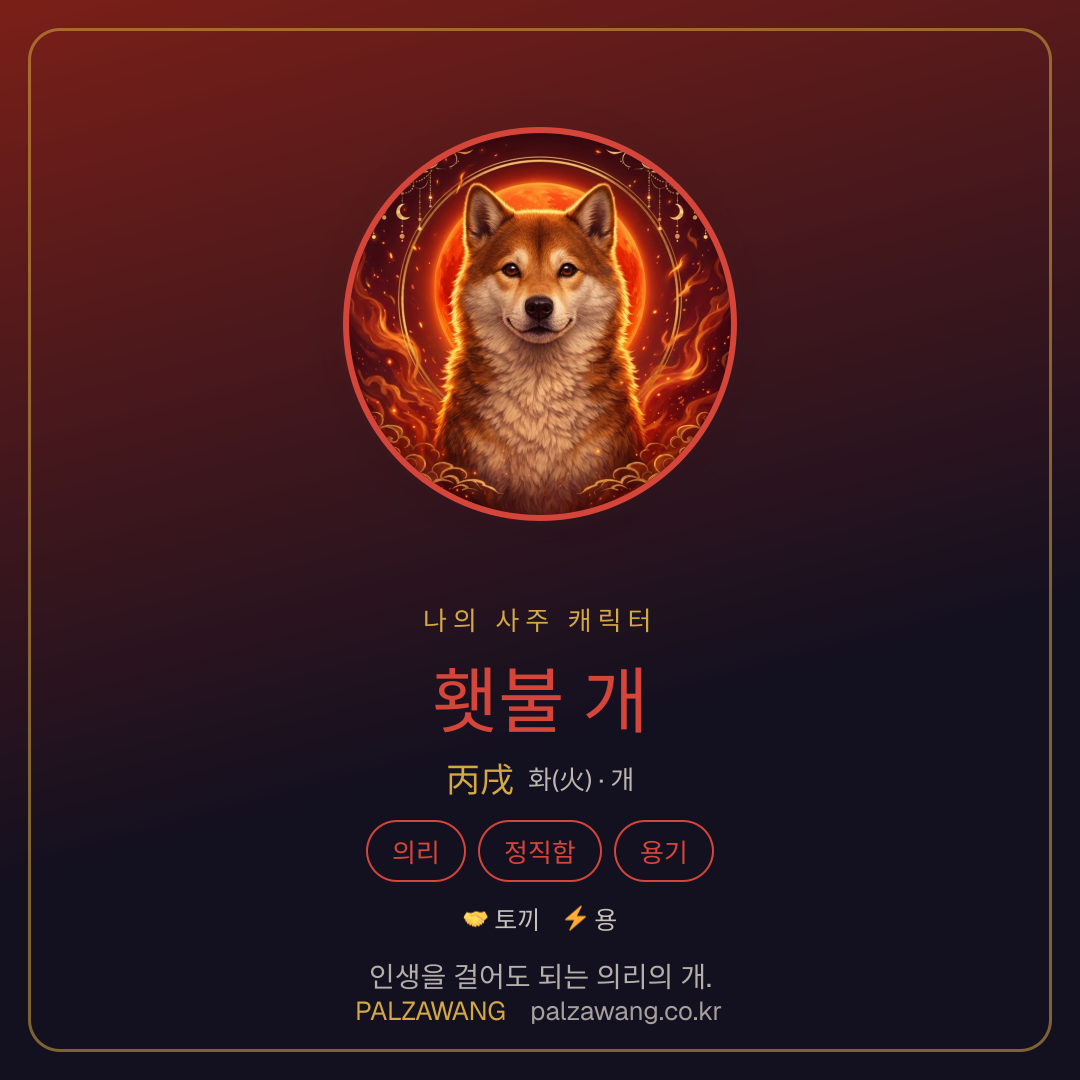 횃불 개