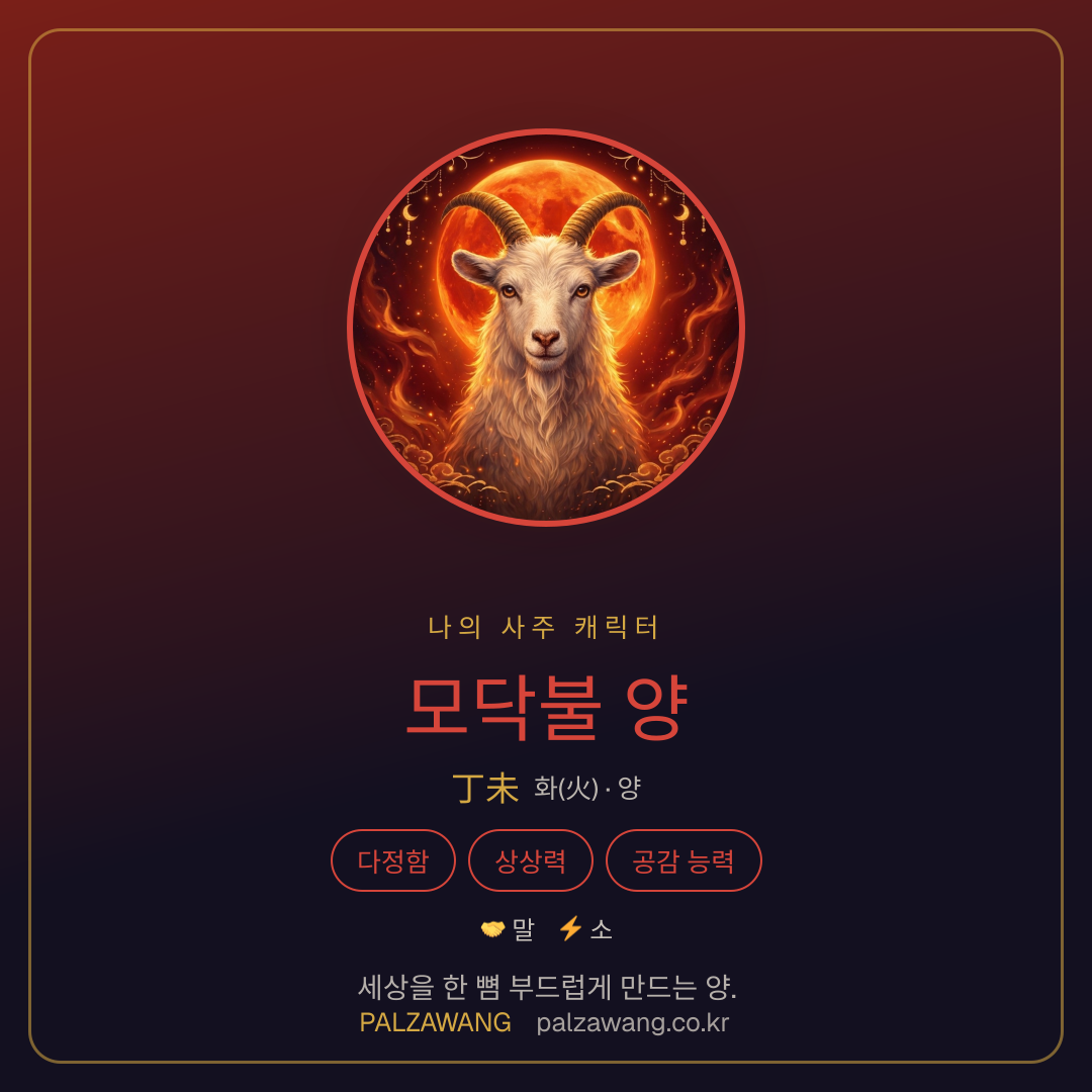 모닥불 양