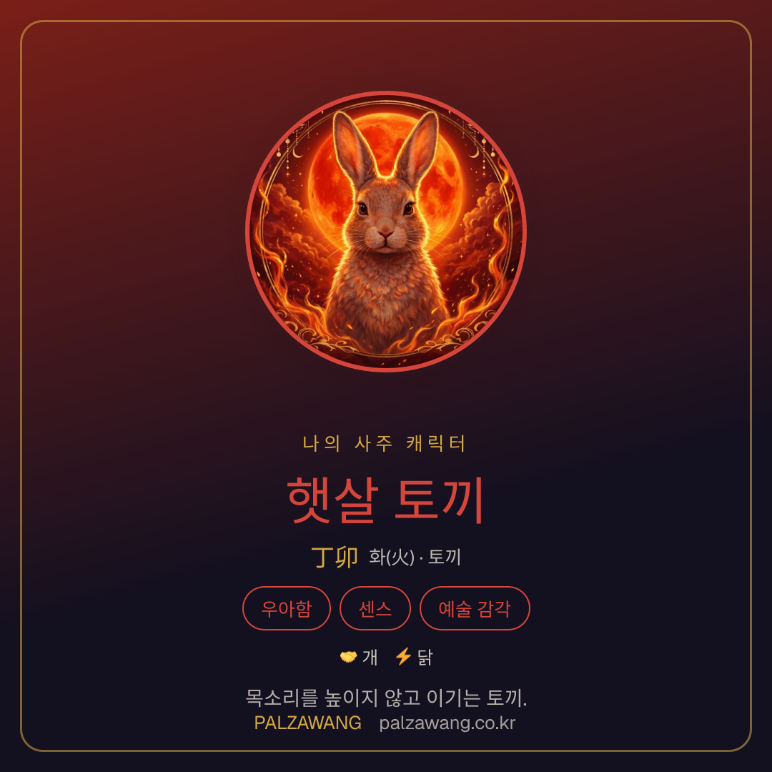 햇살 토끼